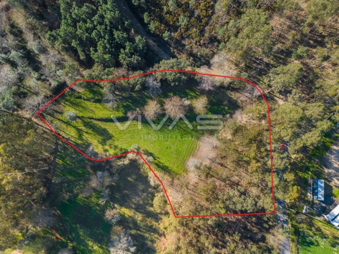 Terreno Agricola ou Rústico para Venda em Ribeira do Neiva Foto 1