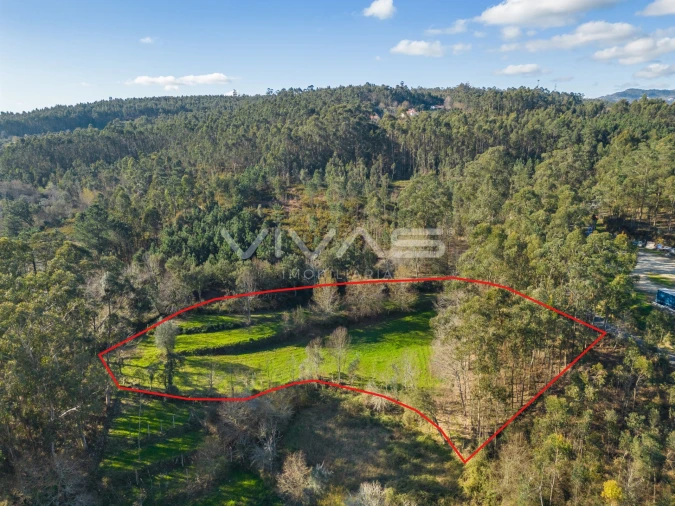 Terreno Agricola ou Rústico para Venda em Ribeira do Neiva Foto 4