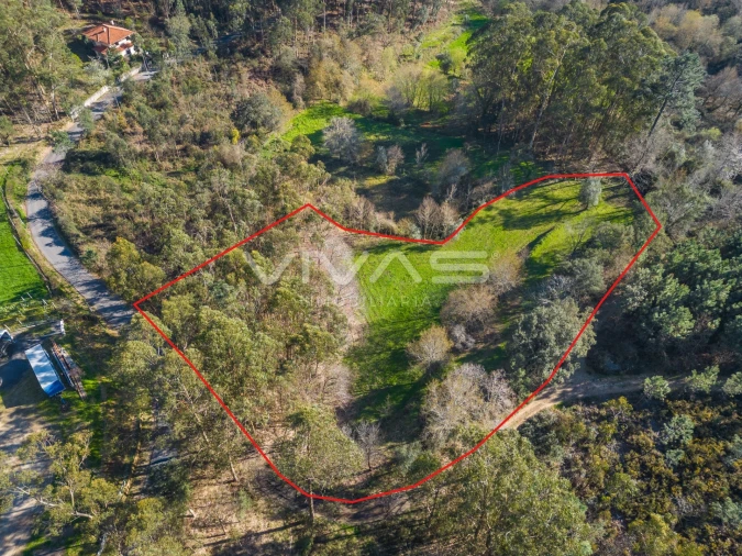 Terreno Agricola ou Rústico para Venda em Ribeira do Neiva Foto 2