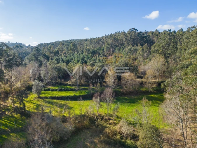 Terreno Agricola ou Rústico para Venda em Ribeira do Neiva Foto 19