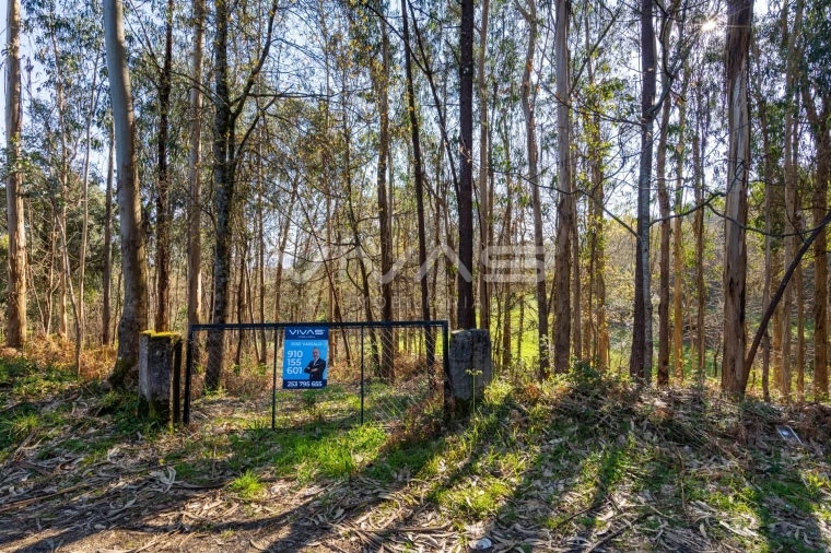 Terreno Agricola ou Rústico para Venda em Ribeira do Neiva Foto 27