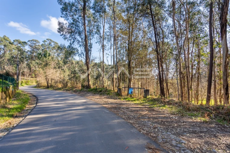 Terreno Agricola ou Rústico para Venda em Ribeira do Neiva Foto 26