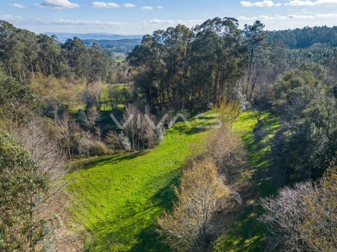 Terreno Agricola ou Rústico para Venda em Ribeira do Neiva Foto 23