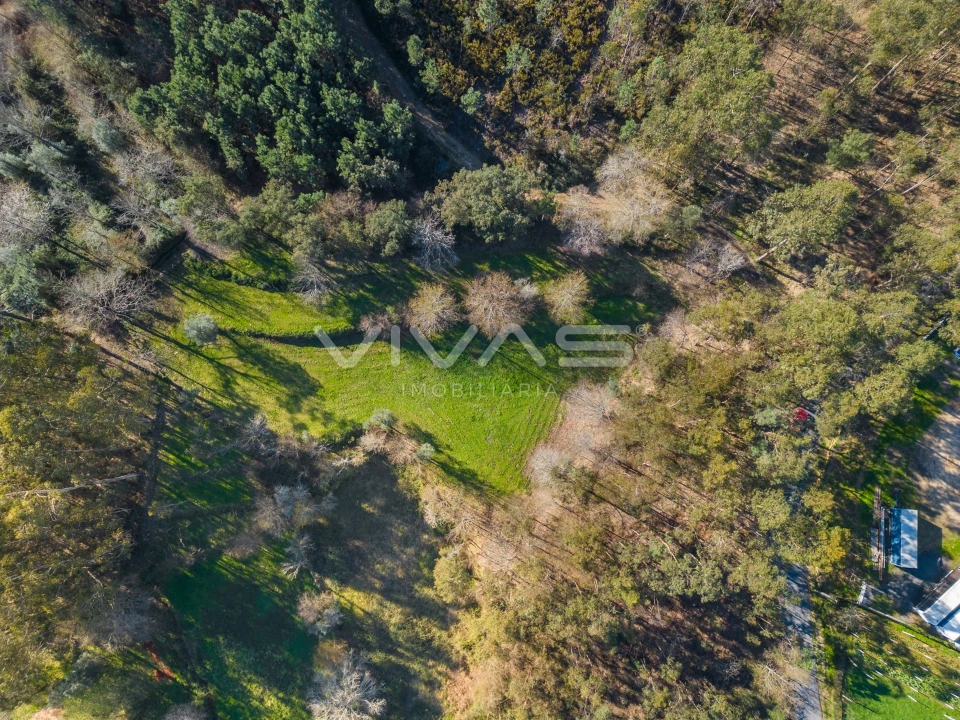 Terreno Agricola ou Rústico para Venda em Ribeira do Neiva Foto 5