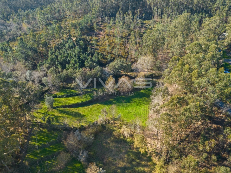 Terreno Agricola ou Rústico para Venda em Ribeira do Neiva Foto 18