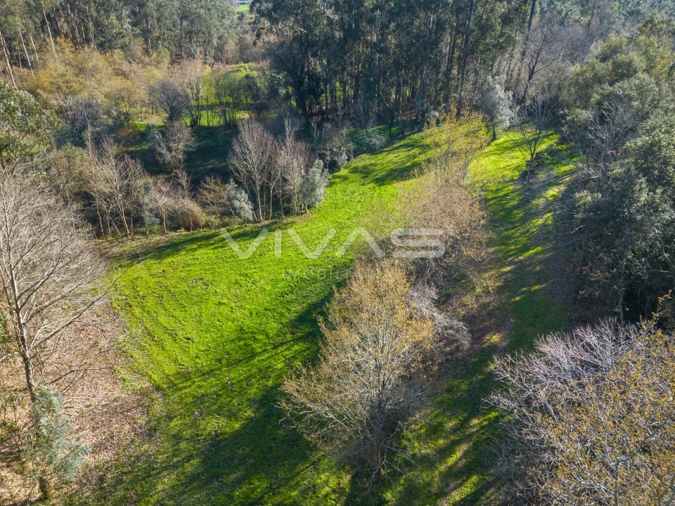 Terreno Agricola ou Rústico para Venda em Ribeira do Neiva Foto 22