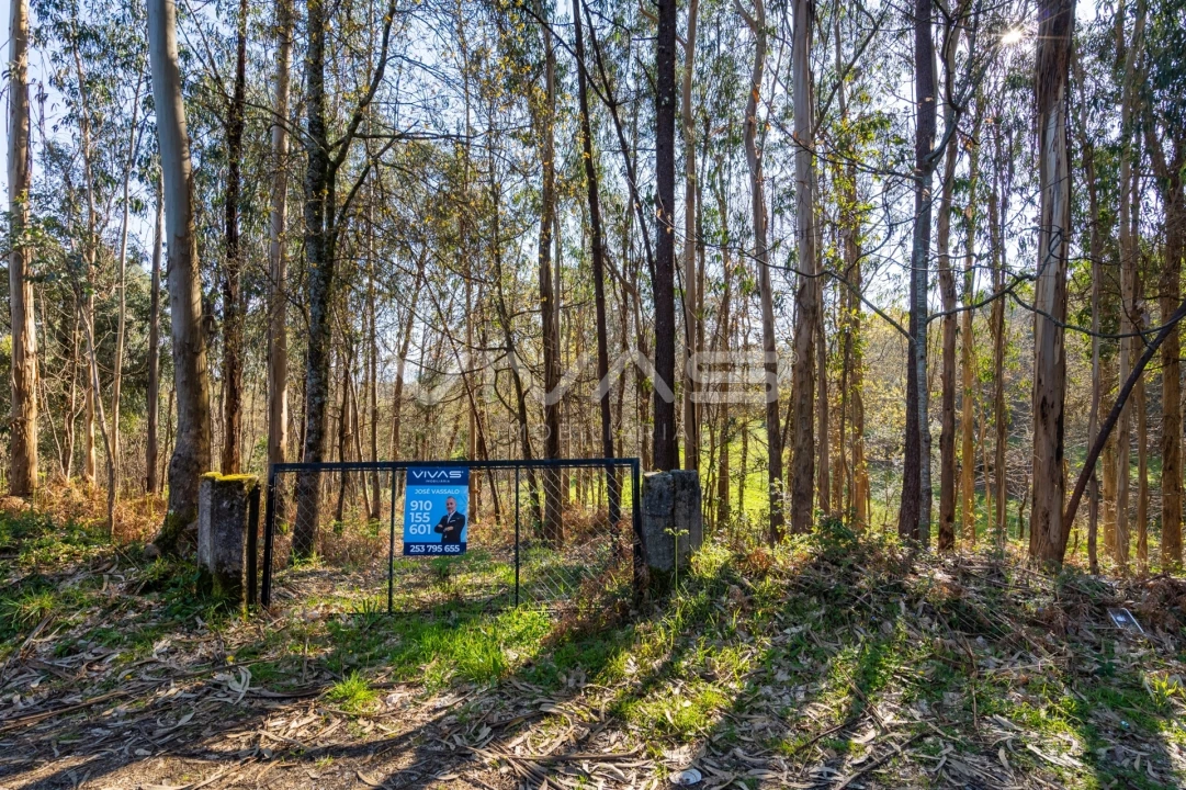 Terreno Agricola ou Rústico para Venda em Ribeira do Neiva Foto 27