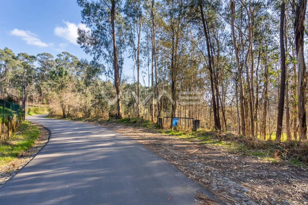Terreno Agricola ou Rústico para Venda em Ribeira do Neiva Foto 26