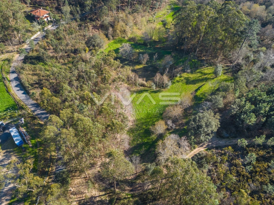 Terreno Agricola ou Rústico para Venda em Ribeira do Neiva Foto 6