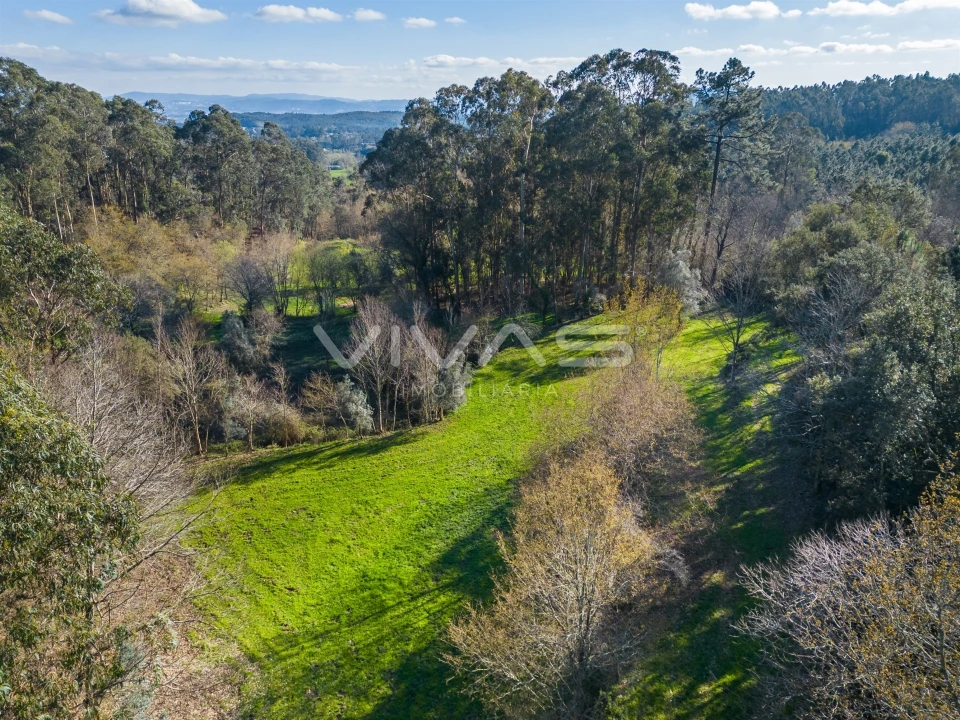 Terreno Agricola ou Rústico para Venda em Ribeira do Neiva Foto 23