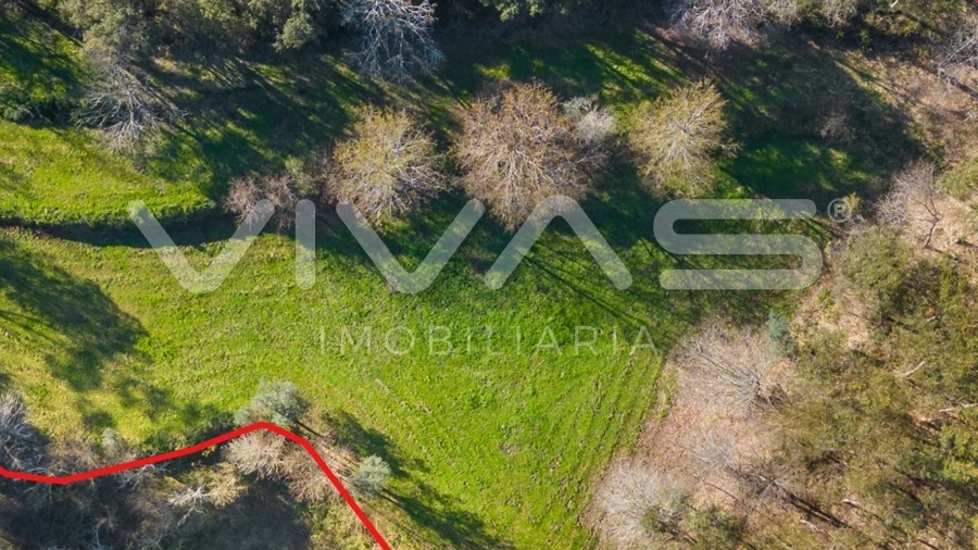 Terreno Agricola ou Rústico para Venda em Ribeira do Neiva