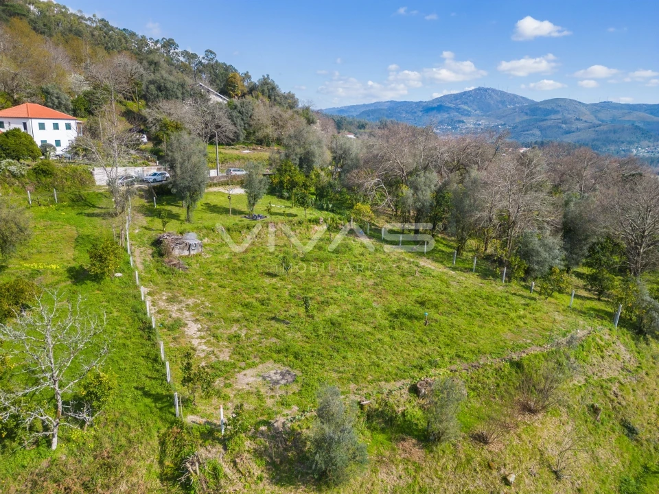 Terreno Agricola ou Rústico para Venda em Goães Foto 18