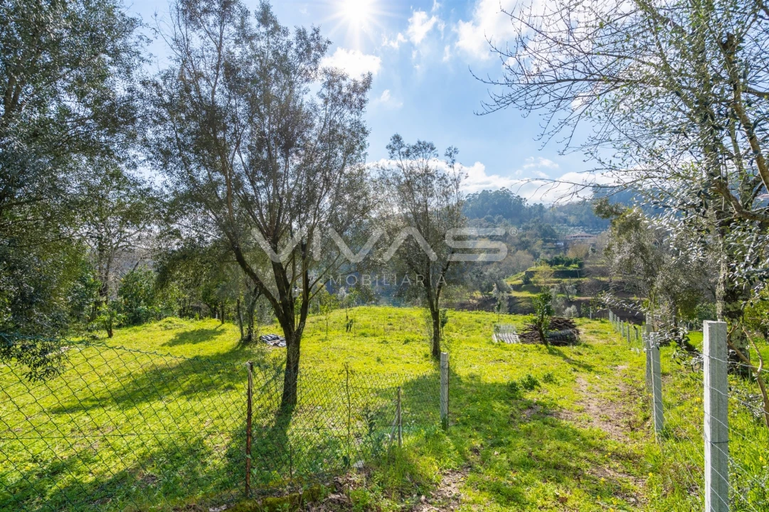 Terreno Agricola ou Rústico para Venda em Goães Foto 14