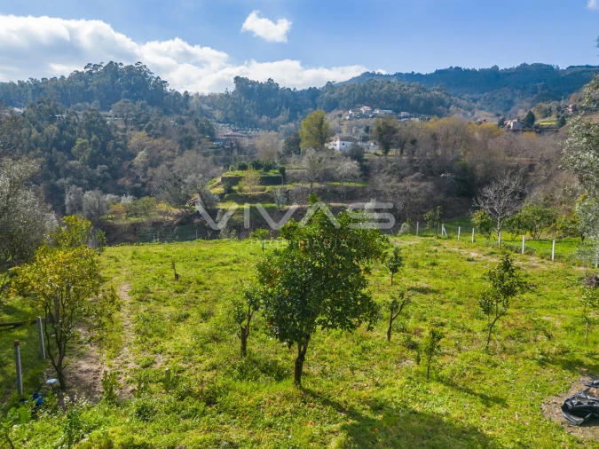 Terreno Agricola ou Rústico para Venda em Goães Foto 24