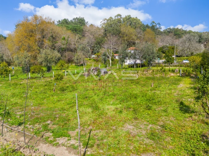 Terreno Agricola ou Rústico para Venda em Goães Foto 22
