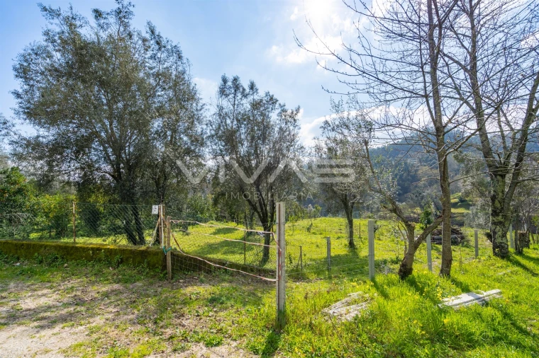Terreno Agricola ou Rústico para Venda em Goães Foto 12