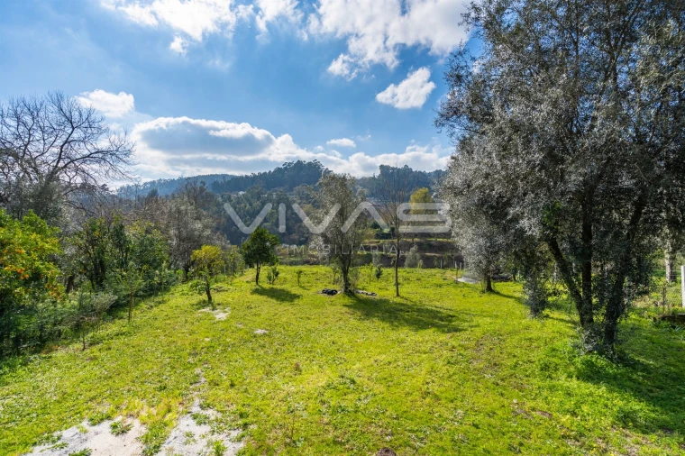 Terreno Agricola ou Rústico para Venda em Goães Foto 11