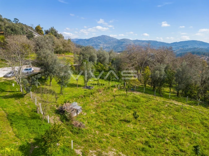 Terreno Agricola ou Rústico para Venda em Goães Foto 4
