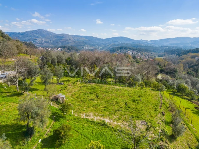 Terreno Agricola ou Rústico para Venda em Goães Foto 3