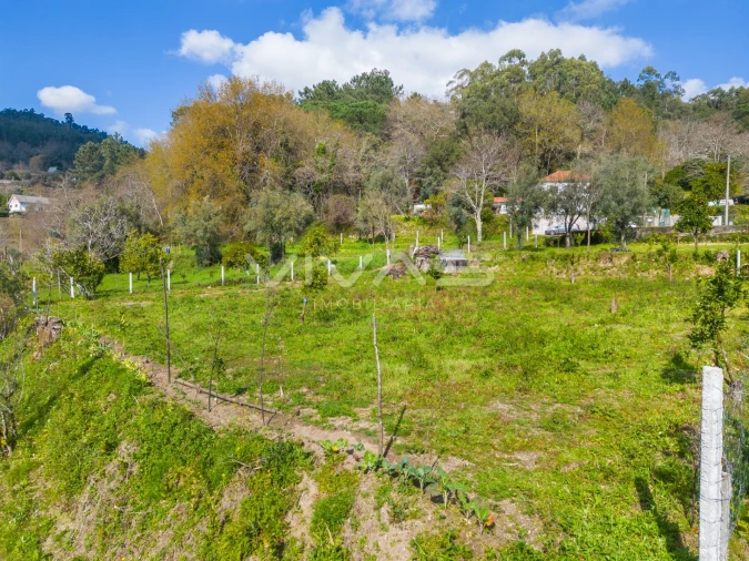 Terreno Agricola ou Rústico para Venda em Goães Foto 23