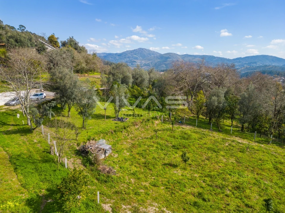 Terreno Agricola ou Rústico para Venda em Goães Foto 4