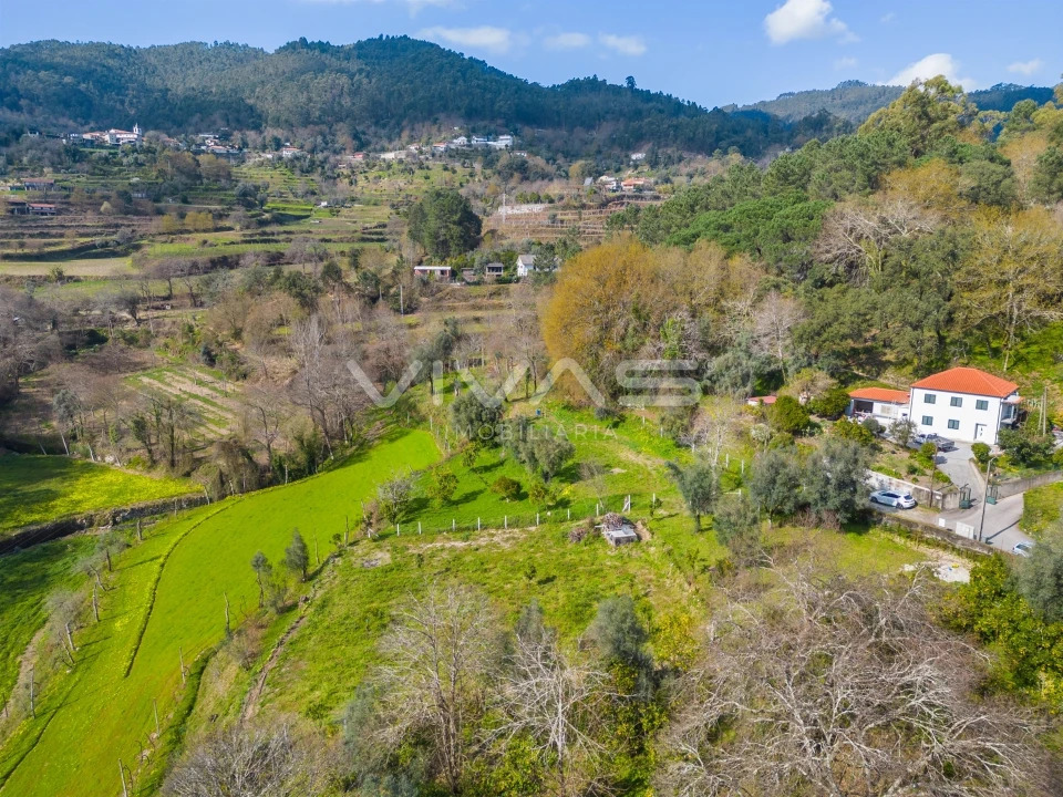 Terreno Agricola ou Rústico para Venda em Goães Foto 6