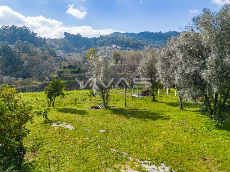 Terreno Agricola ou Rústico para Venda em Goães Foto 25