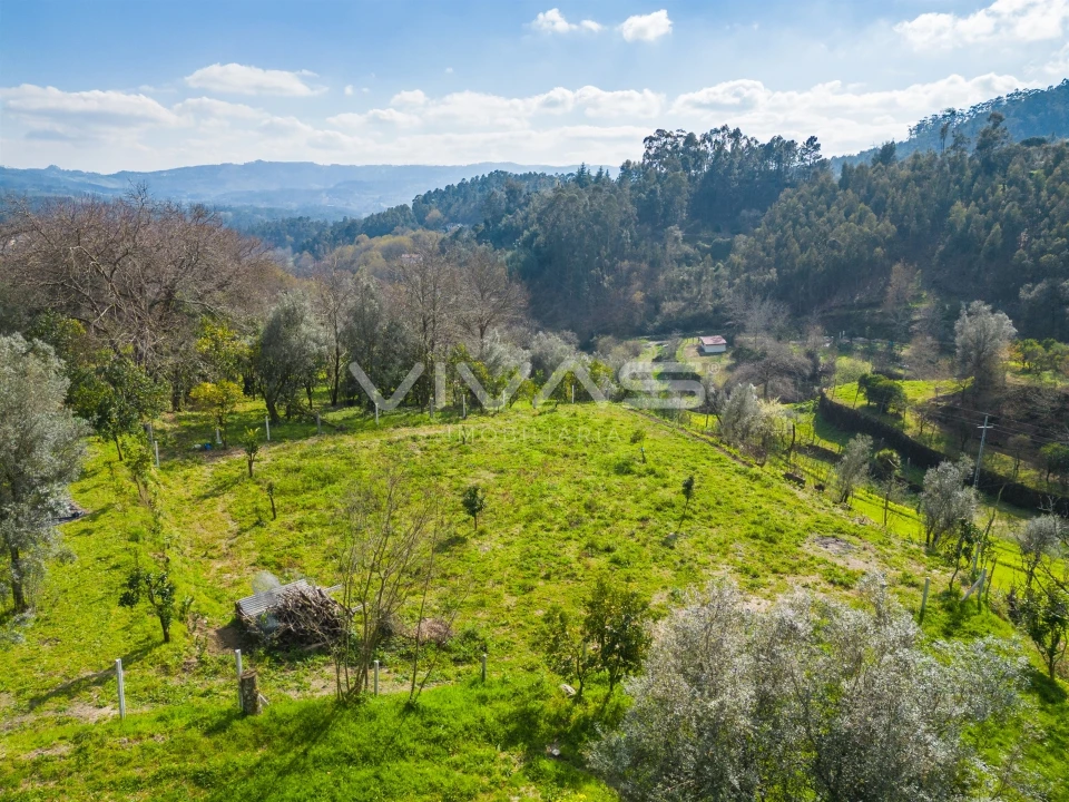 Terreno Agricola ou Rústico para Venda em Goães Foto 5