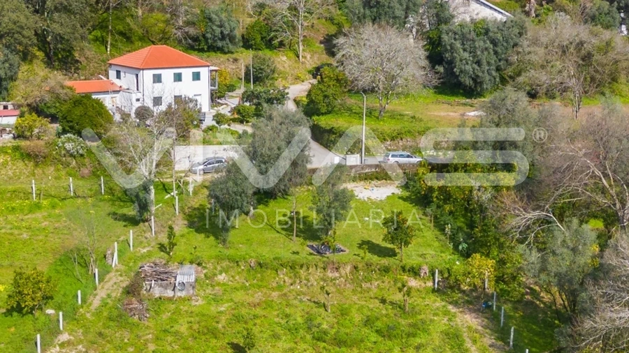 Terreno Agricola ou Rústico para Venda em Goães