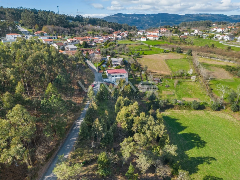 Terreno Agricola ou Rústico para Venda em Ribeira do Neiva Foto 12