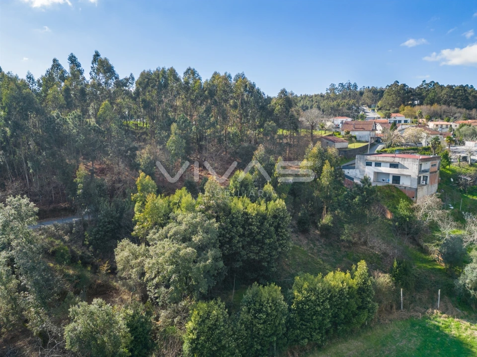Terreno Agricola ou Rústico para Venda em Ribeira do Neiva Foto 18