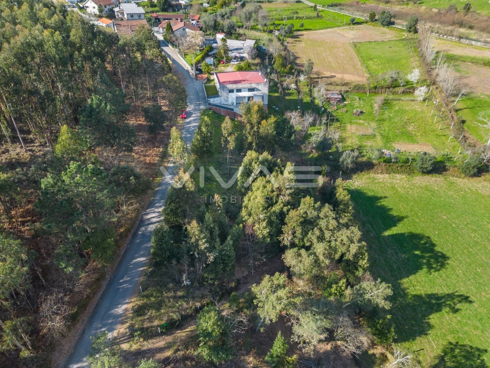 Terreno Agricola ou Rústico para Venda em Ribeira do Neiva Foto 11