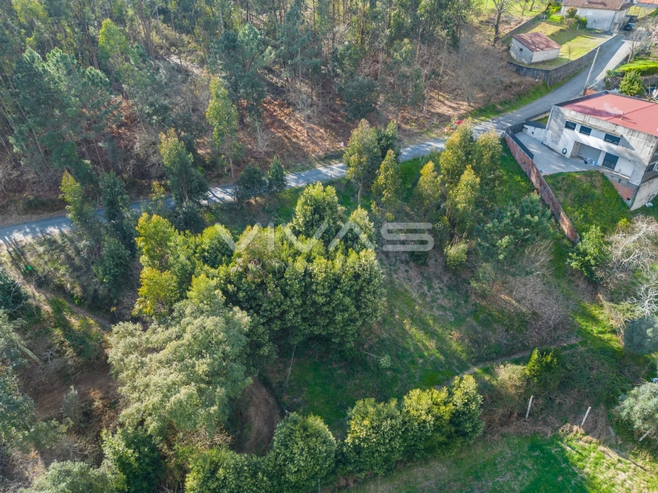 Terreno Agricola ou Rústico para Venda em Ribeira do Neiva Foto 7