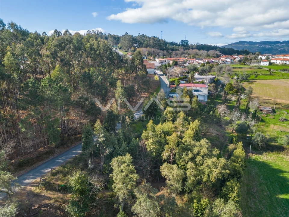 Terreno Agricola ou Rústico para Venda em Ribeira do Neiva Foto 13