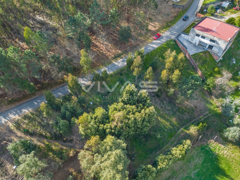 Terreno Agricola ou Rústico para Venda em Ribeira do Neiva Foto 6