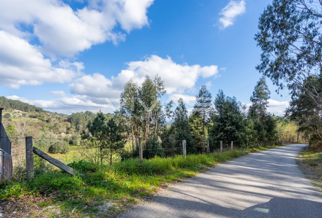 Terreno Agricola ou Rústico para Venda em Ribeira do Neiva Foto 20