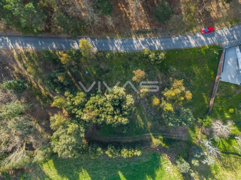 Terreno Agricola ou Rústico para Venda em Ribeira do Neiva Foto 5