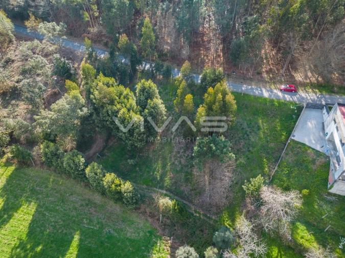 Terreno Agricola ou Rústico para Venda em Ribeira do Neiva Foto 10