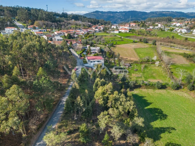 Terreno Agricola ou Rústico para Venda em Ribeira do Neiva Foto 12