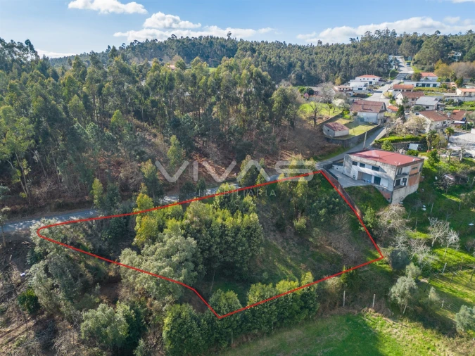 Terreno Agricola ou Rústico para Venda em Ribeira do Neiva Foto 3