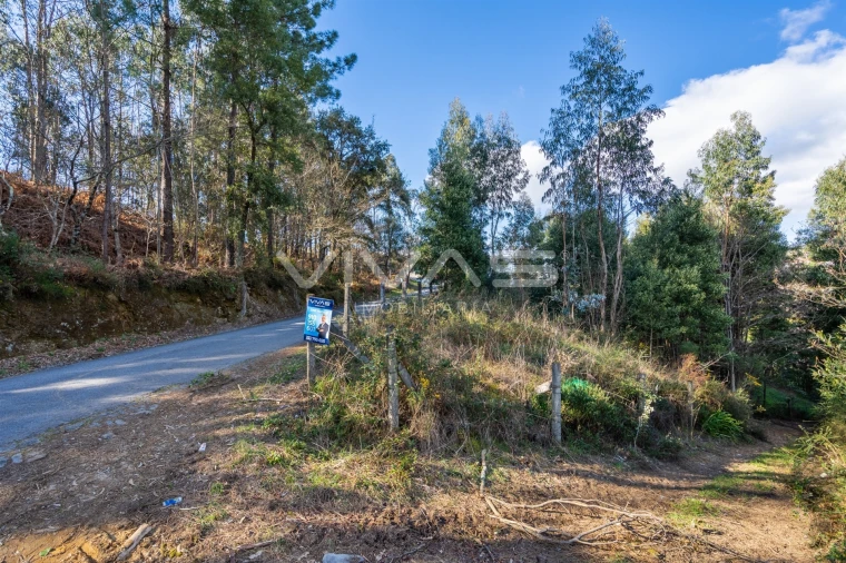 Terreno Agricola ou Rústico para Venda em Ribeira do Neiva Foto 22