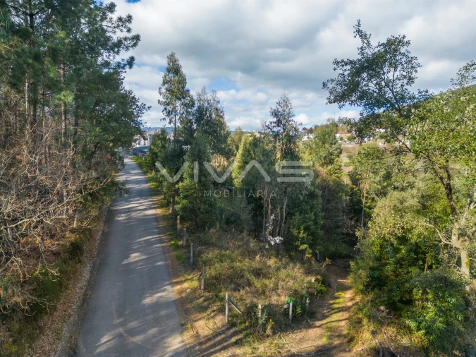Terreno Agricola ou Rústico para Venda em Ribeira do Neiva Foto 19