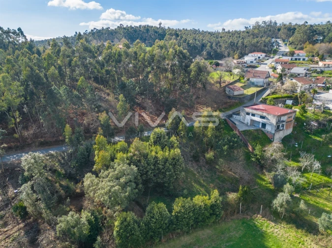 Terreno Agricola ou Rústico para Venda em Ribeira do Neiva Foto 8