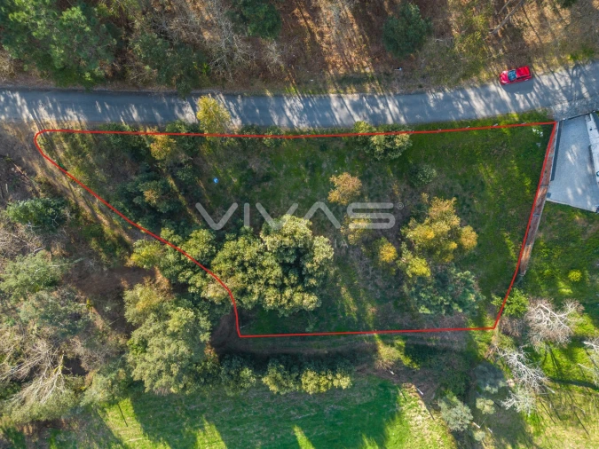 Terreno Agricola ou Rústico para Venda em Ribeira do Neiva Foto 2