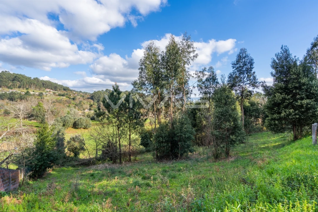 Terreno Agricola ou Rústico para Venda em Ribeira do Neiva Foto 21