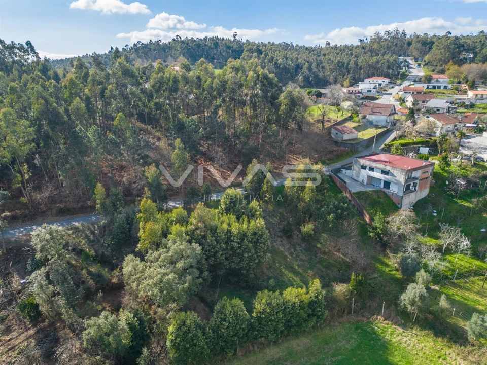 Terreno Agricola ou Rústico para Venda em Ribeira do Neiva Foto 8
