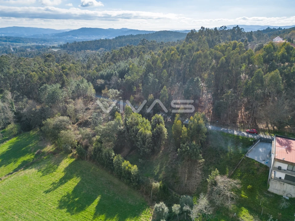 Terreno Agricola ou Rústico para Venda em Ribeira do Neiva Foto 9