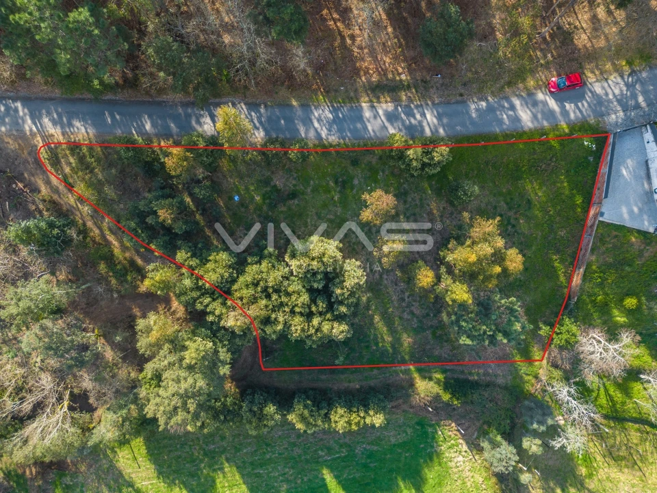 Terreno Agricola ou Rústico para Venda em Ribeira do Neiva Foto 2