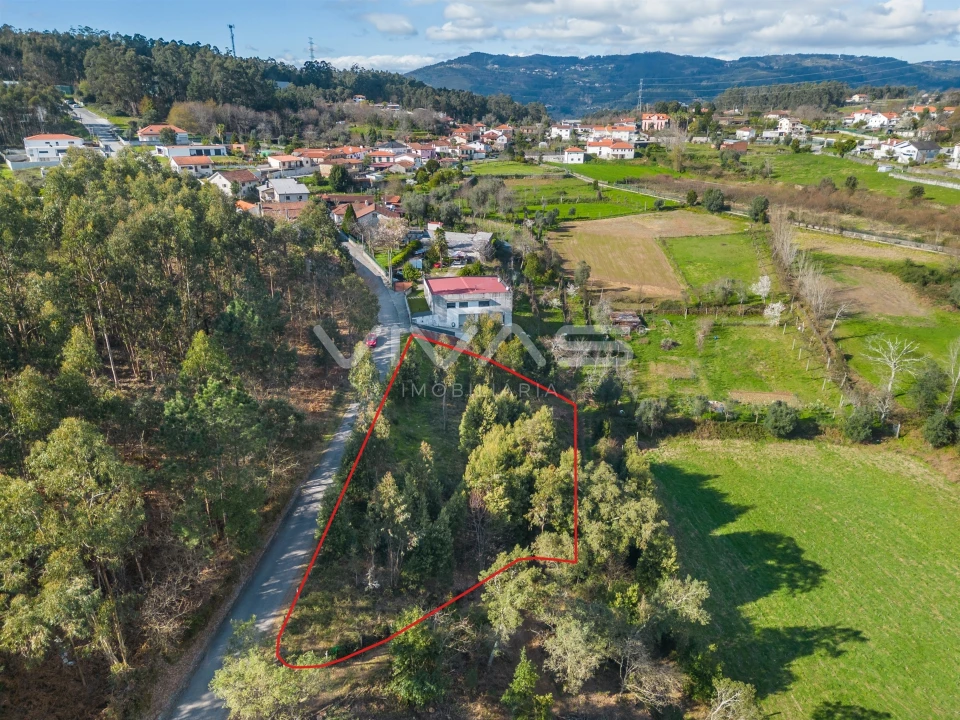 Terreno Agricola ou Rústico para Venda em Ribeira do Neiva Foto 4