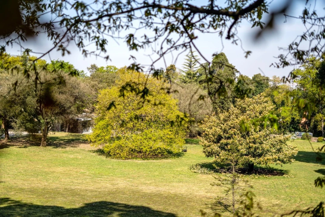 Apartamento T2 para Arrendamento em Mafamude e Vilar do Paraíso Foto 8